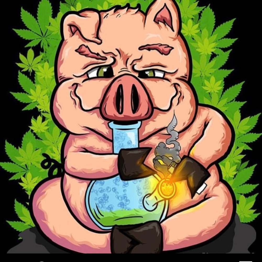 Meet your Posher, Omar